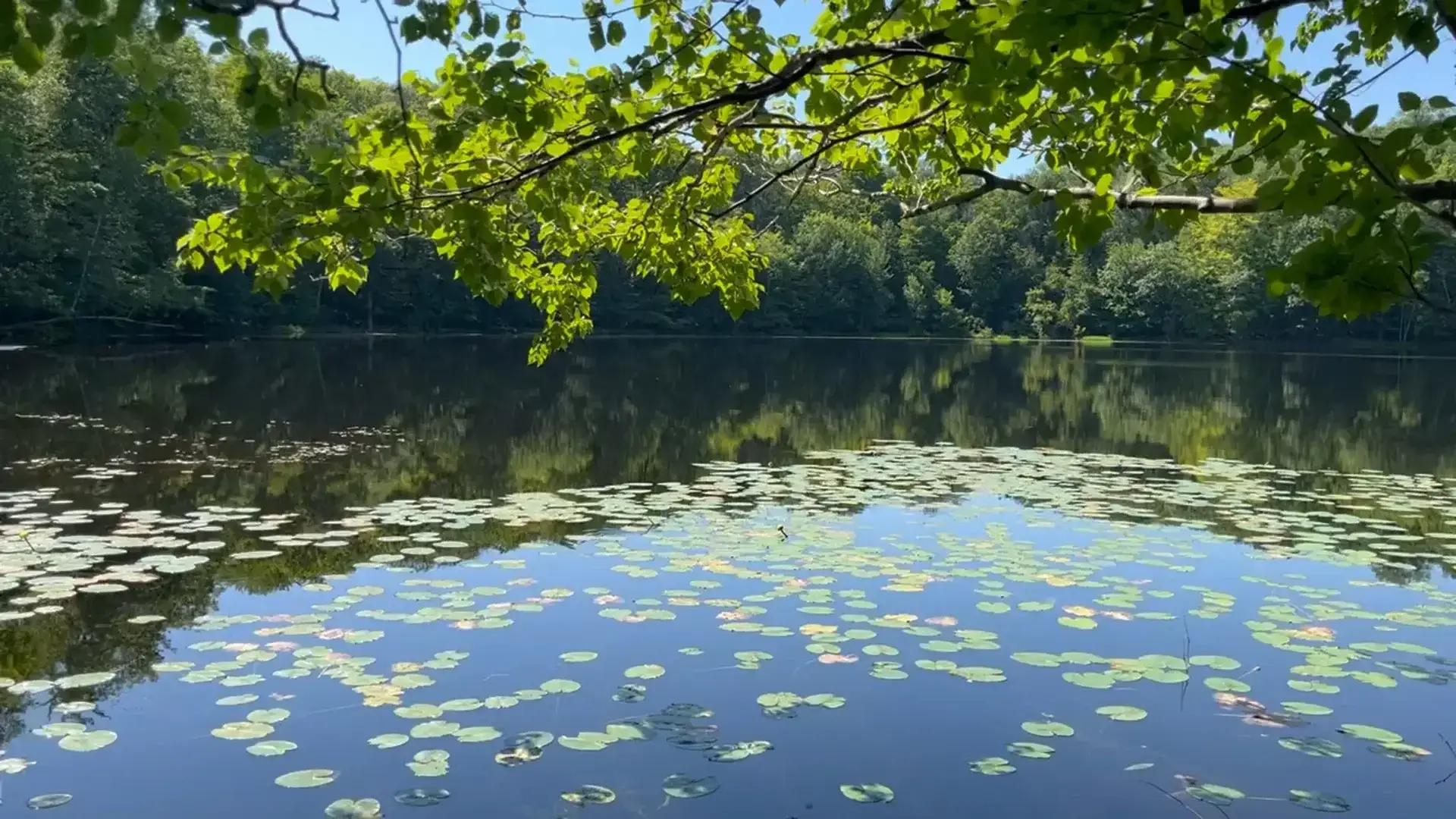 Река Икса: тихая вода и рыбацкие секреты