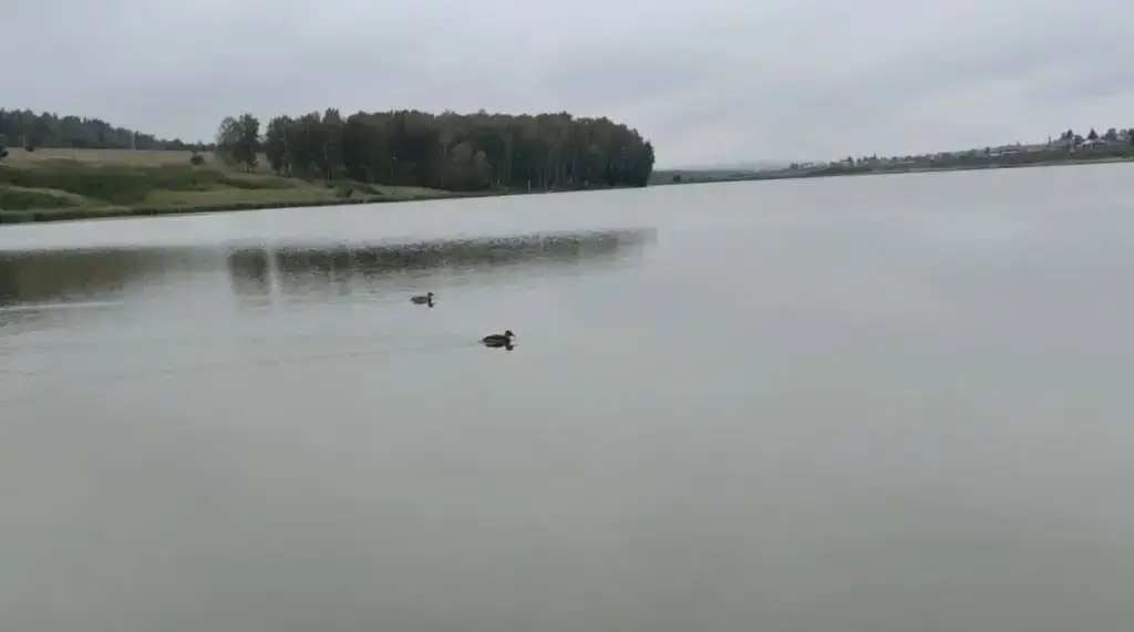 Погорельский