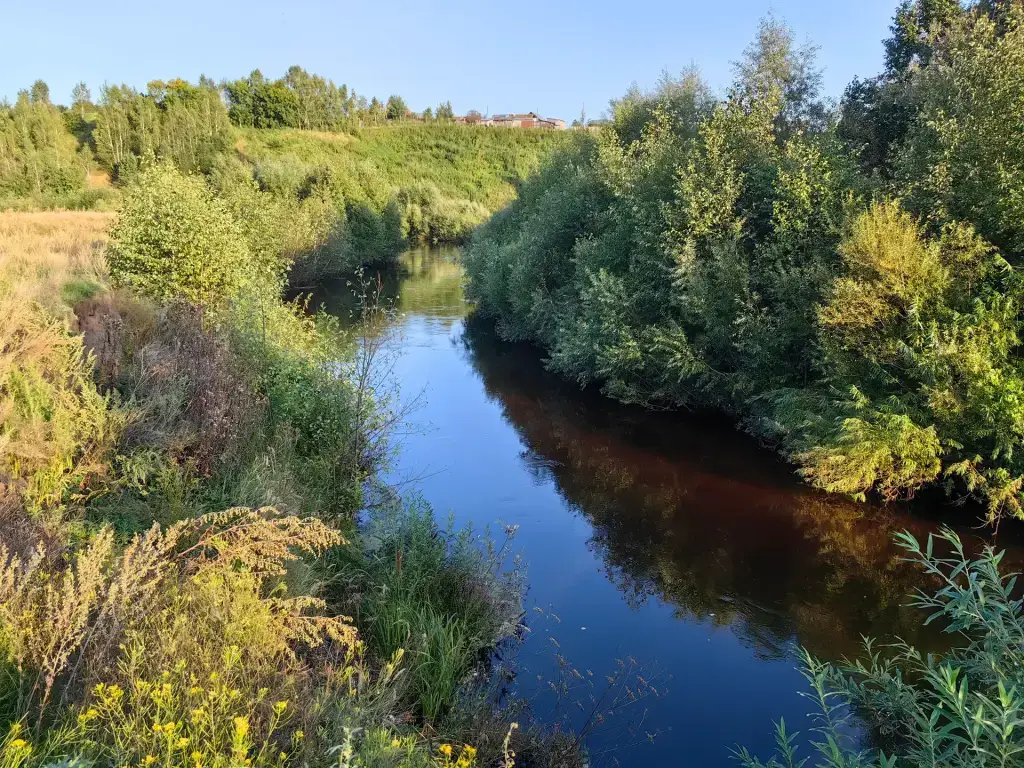 Синара (Усть-Багаряк)