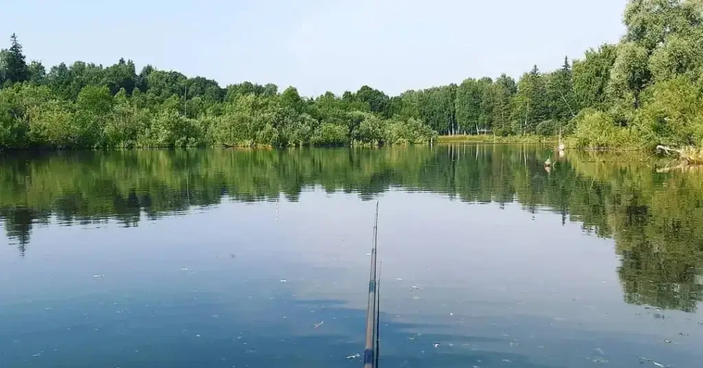 Николаевский