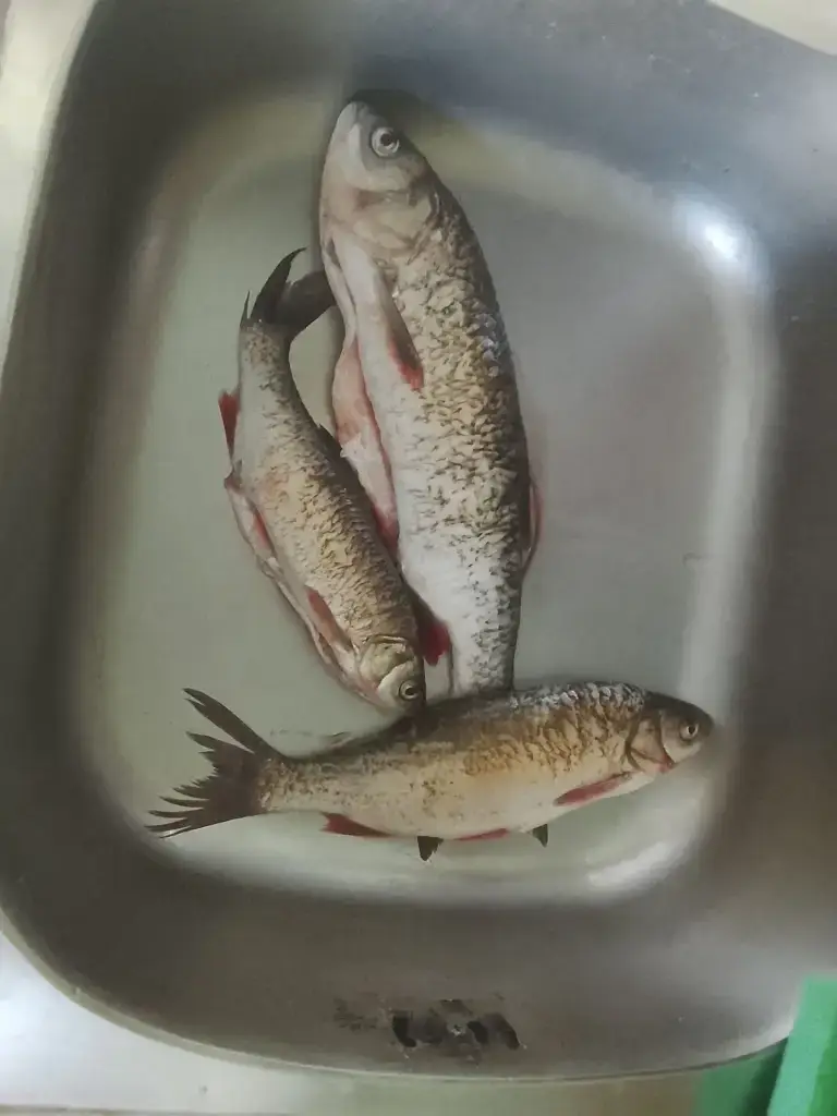 Белая