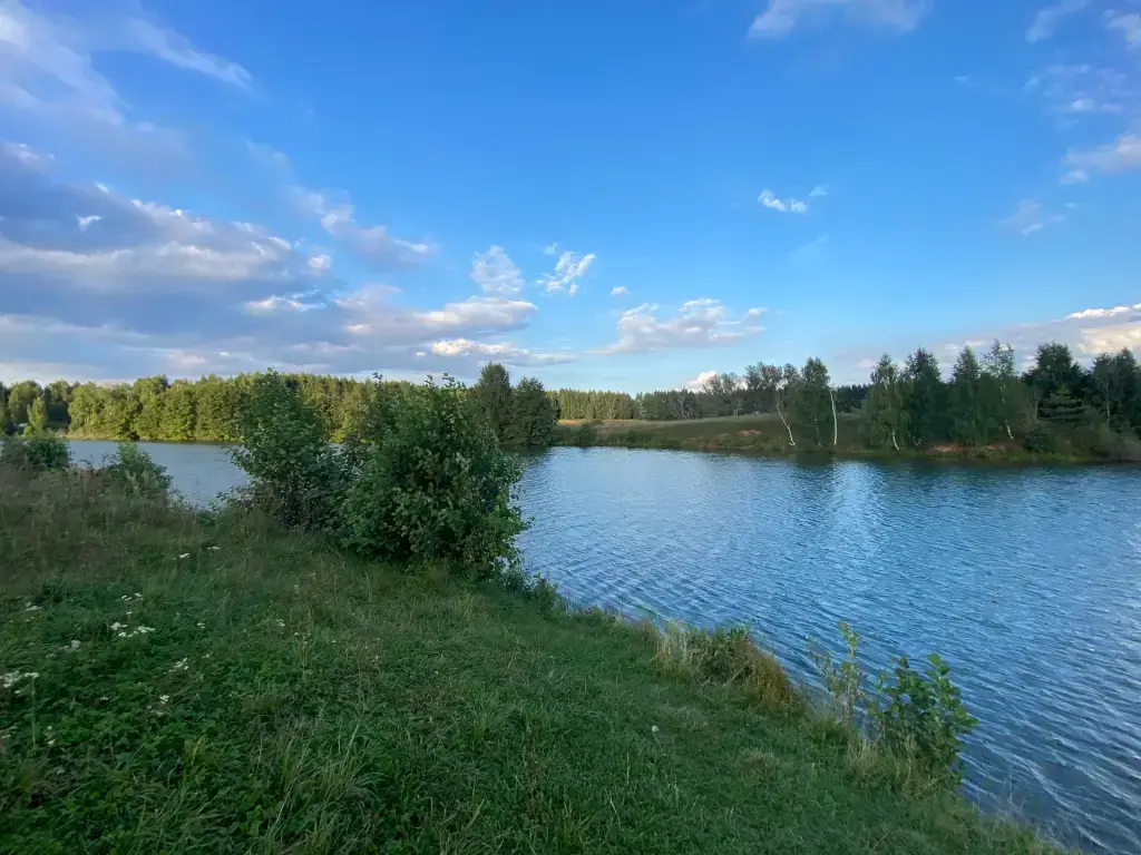 Лебединое (Плотина)