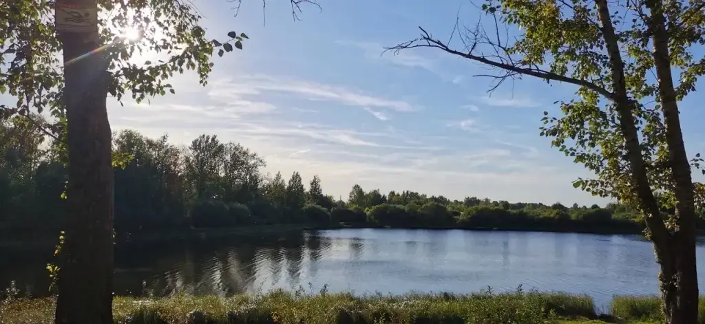 Зелёное