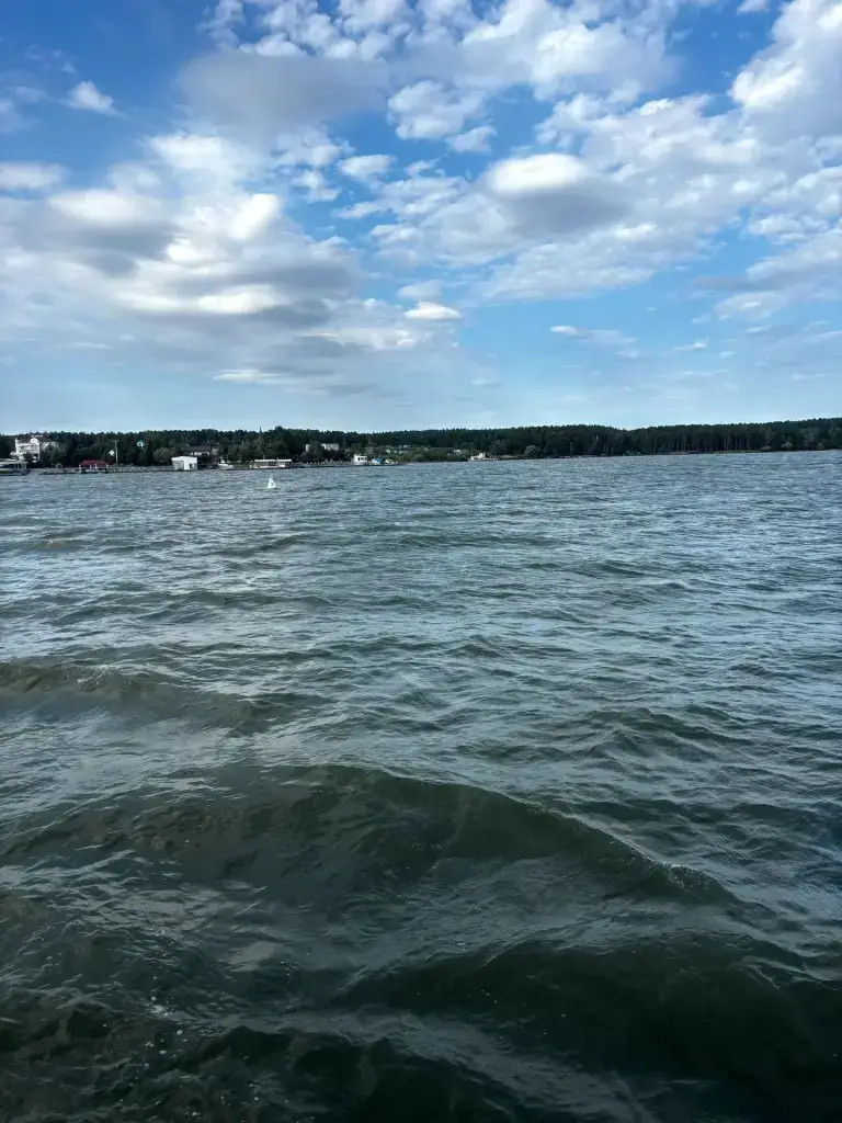 Бердь