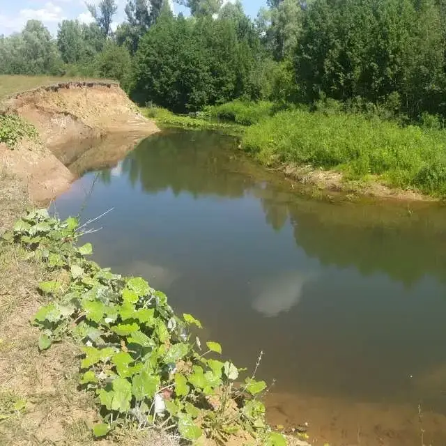 Курт