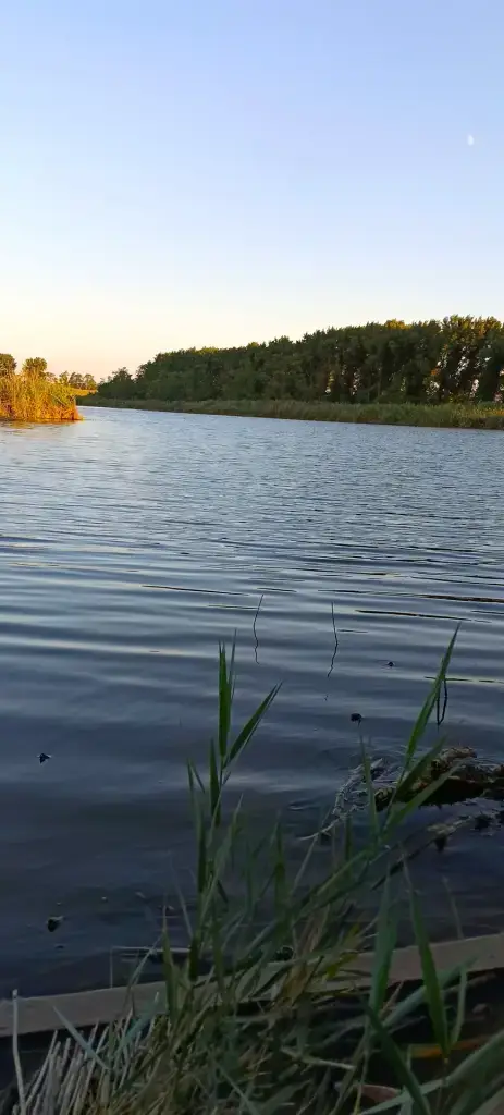 Тихонькая