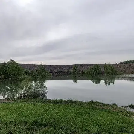 Освешёнка