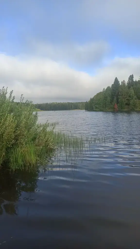Лынга