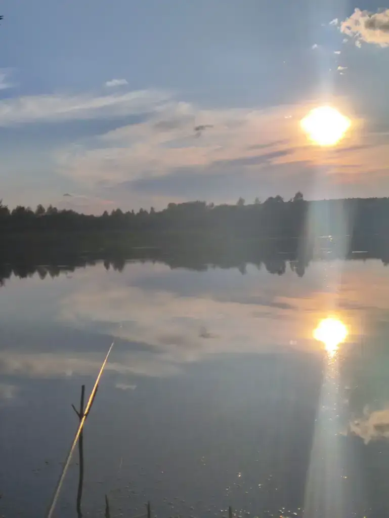 Лебяжье