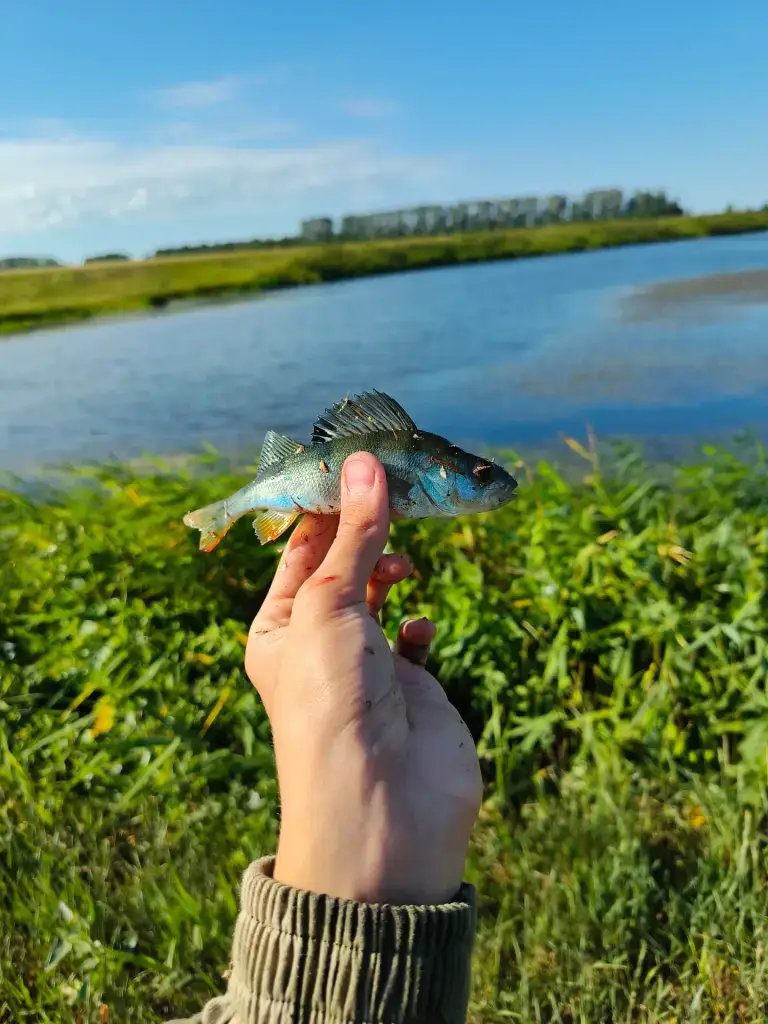 Крутиха
