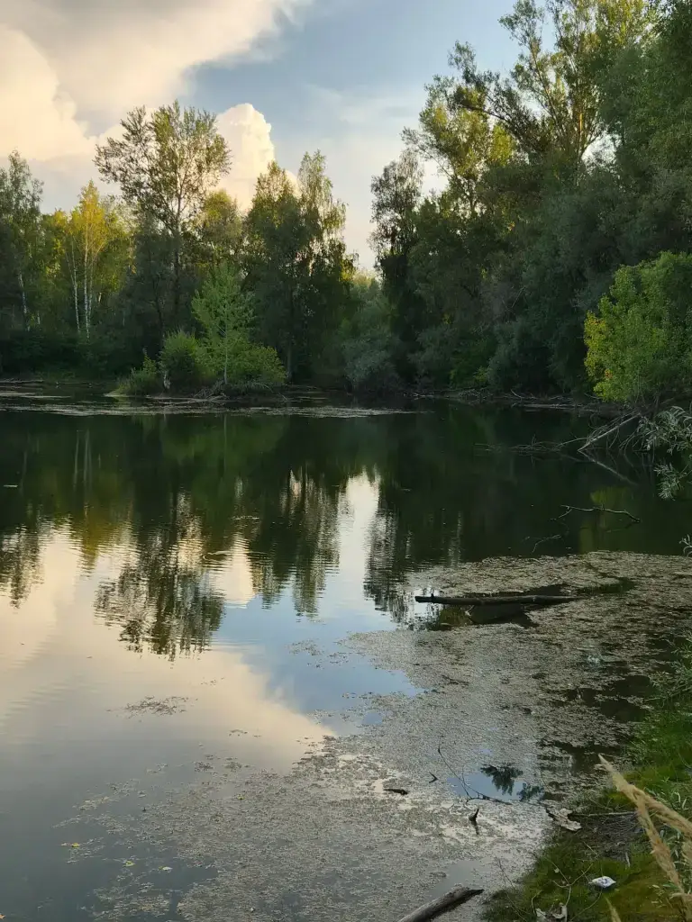 Образцовка