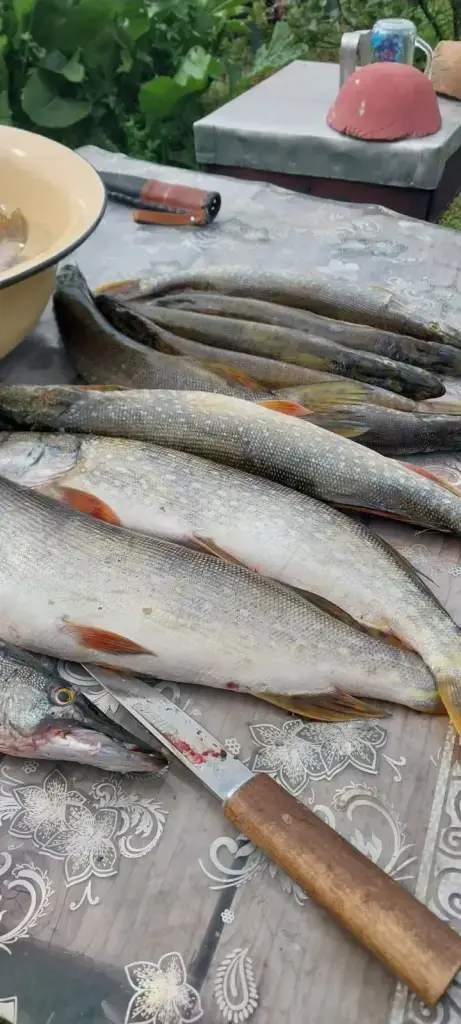 Басандайка