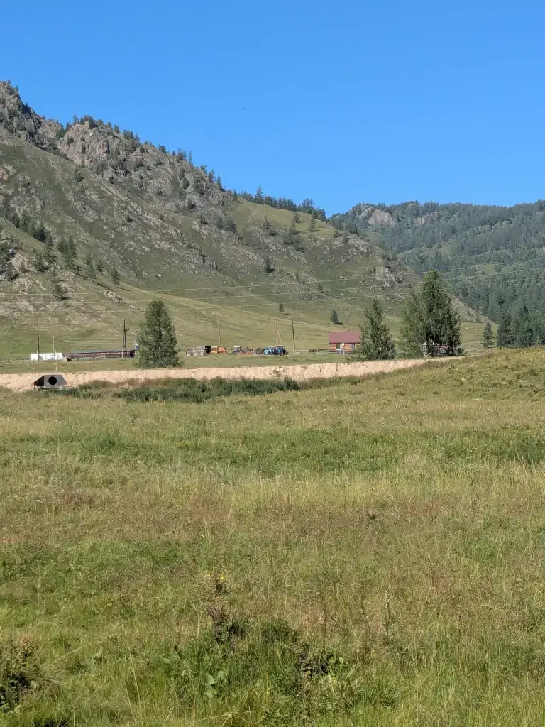 Ело