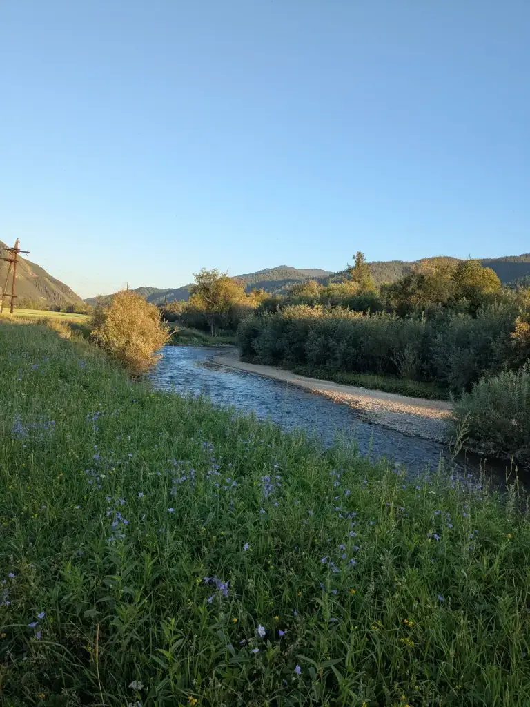 Чарыш