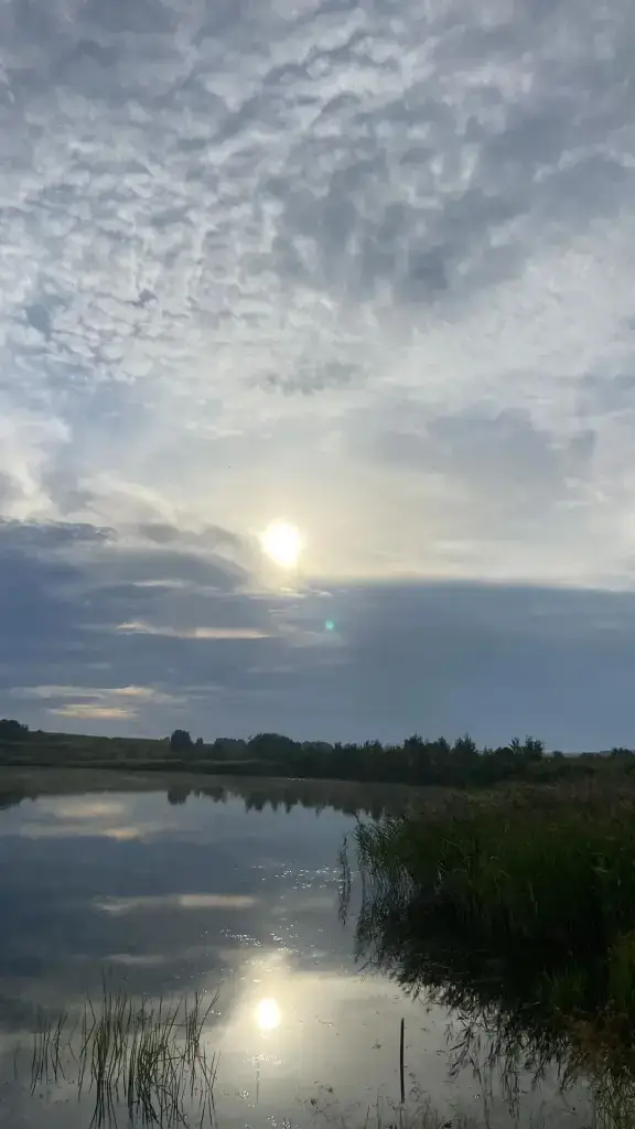 Таракан (Верхняя Уря)