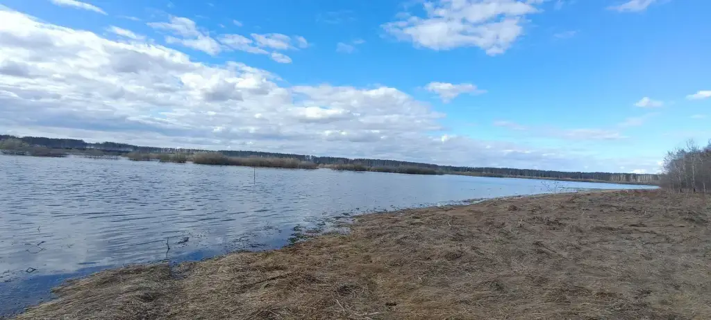 Омь