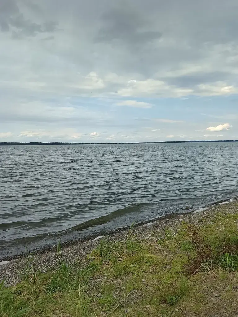 Касарги
