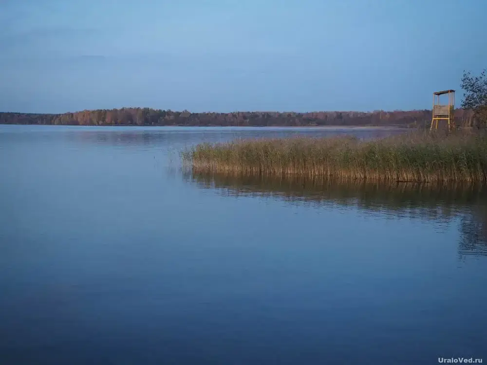 Балтым