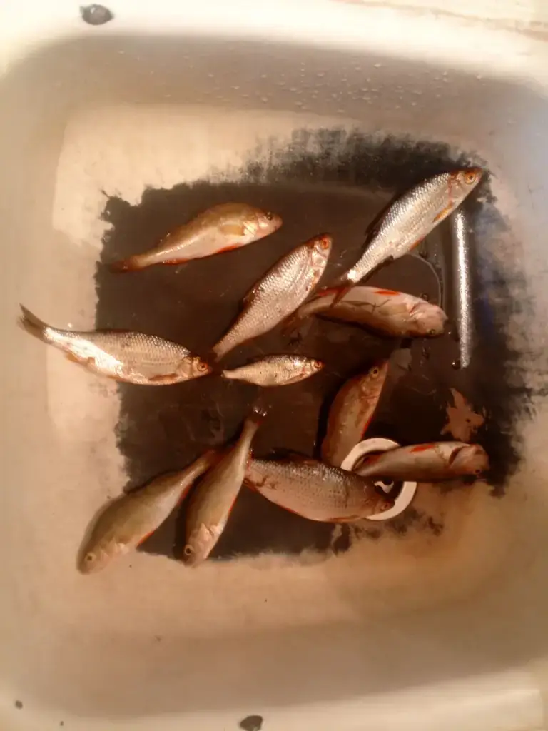 Большая Кушва