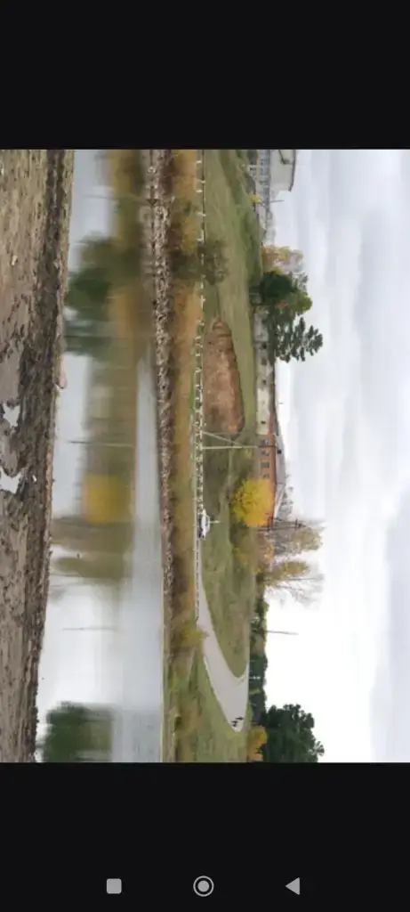 Сосновка
