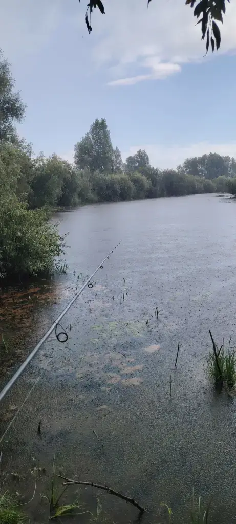 Уень