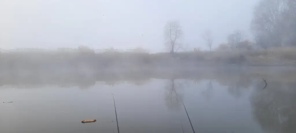 Нарнышное