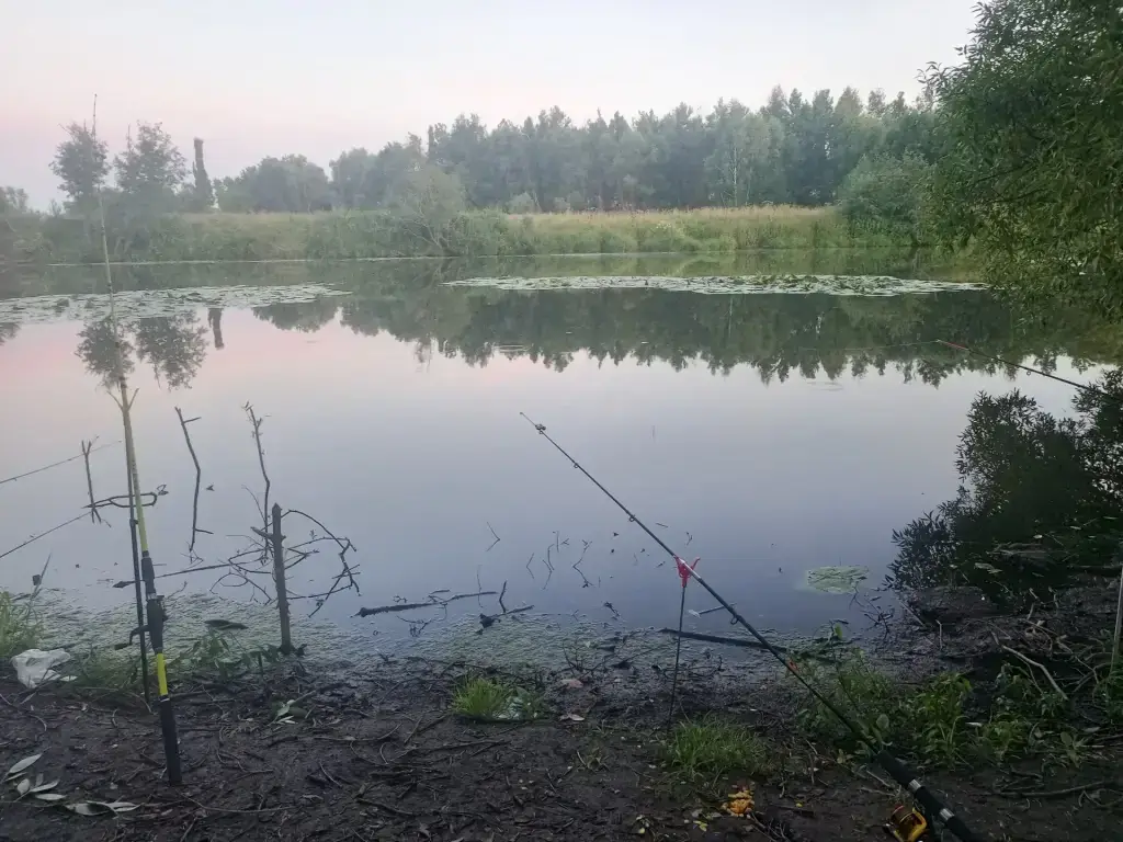Ока