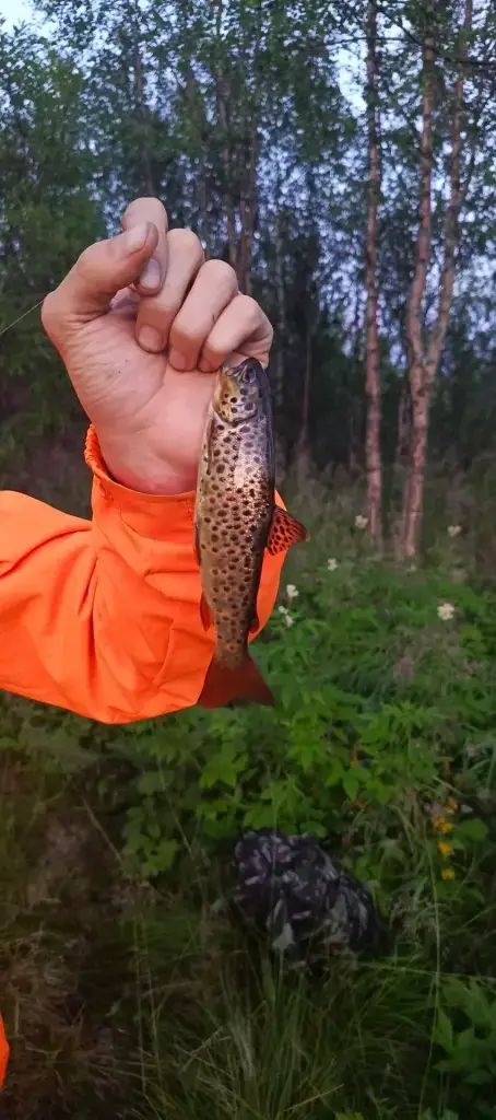 Сура (Северная)