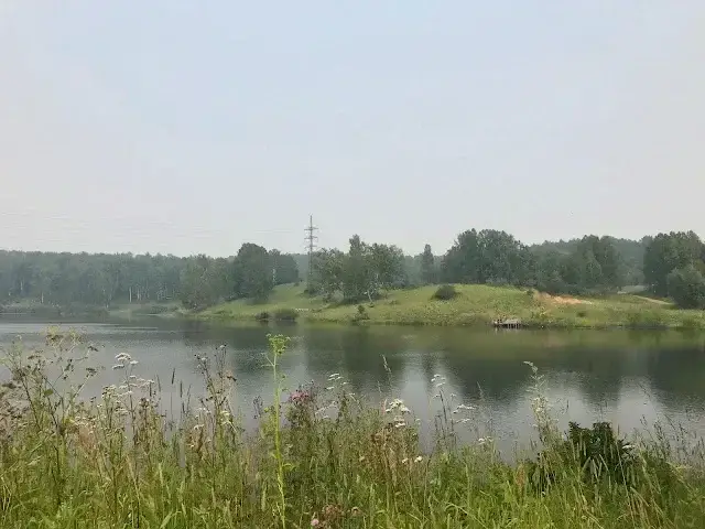 Смородинка