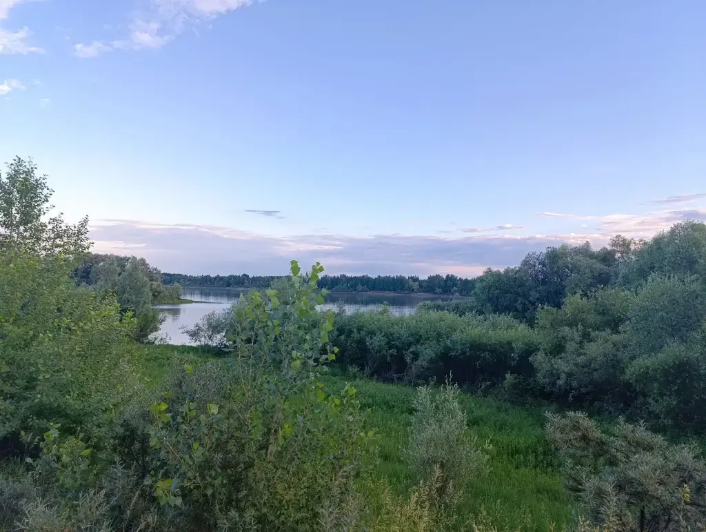 Иртыш (Затон)