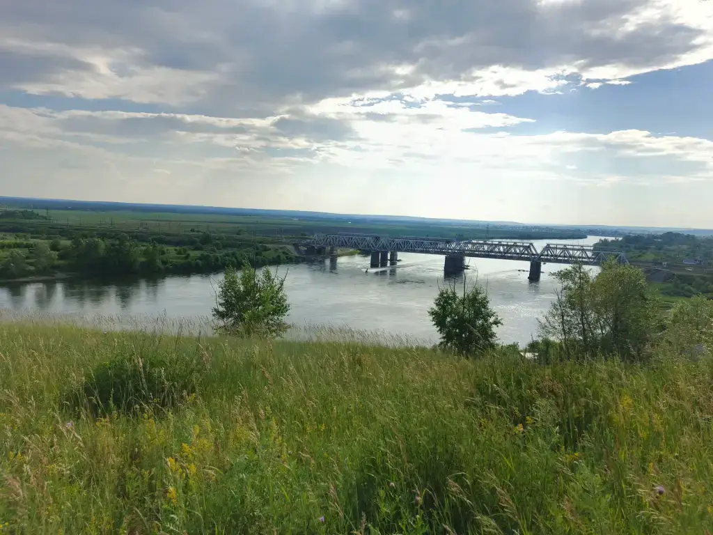 Белая
