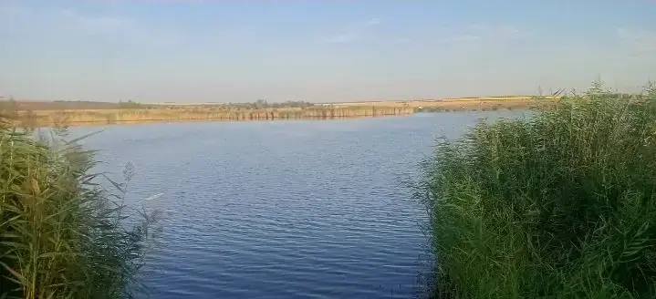 Рыбхоз Аряш
