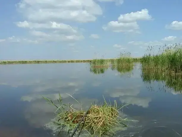Аткуль