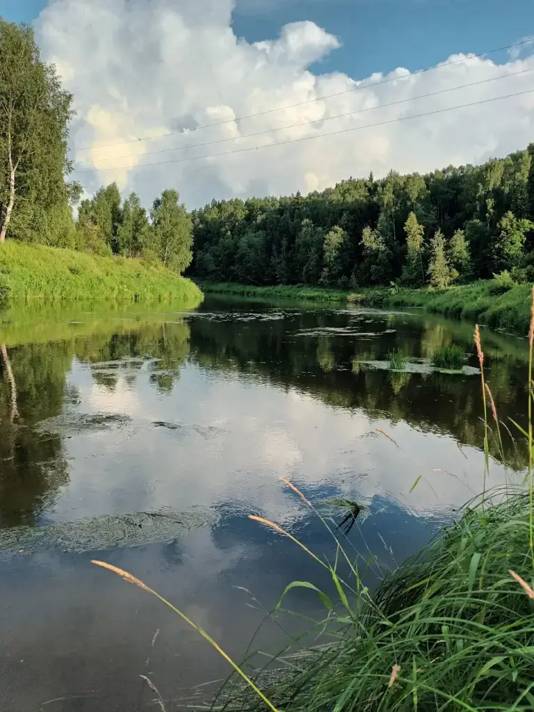 Которосль