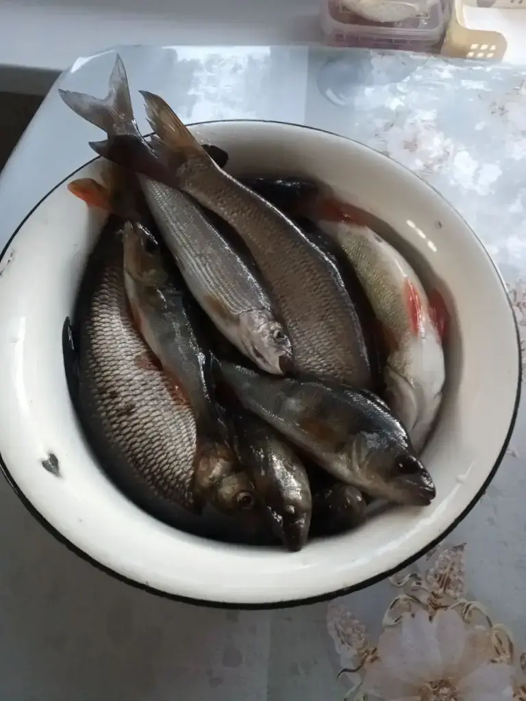 Уфтюга