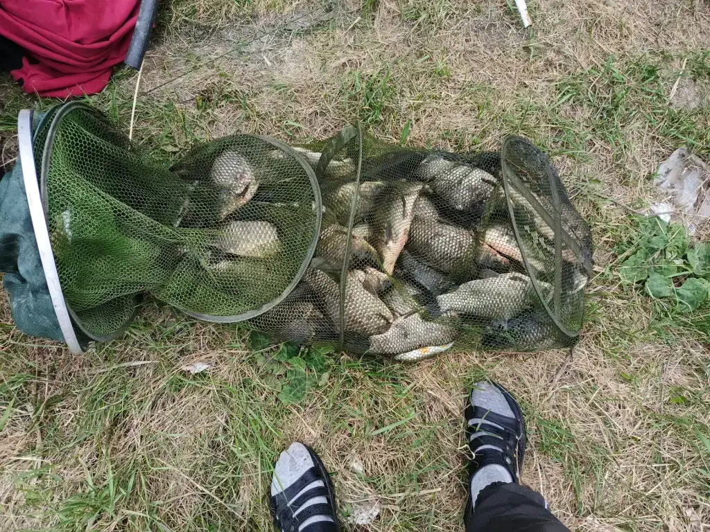 Красный Яр
