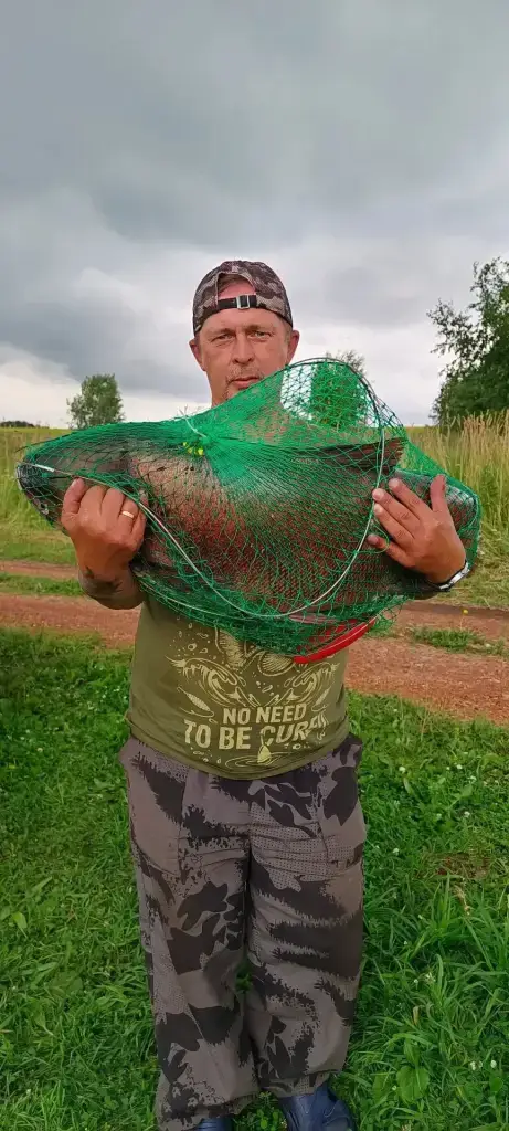 Тёщин язык