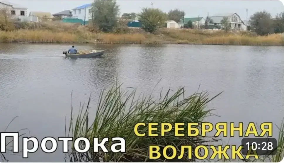 Серебряная воложка