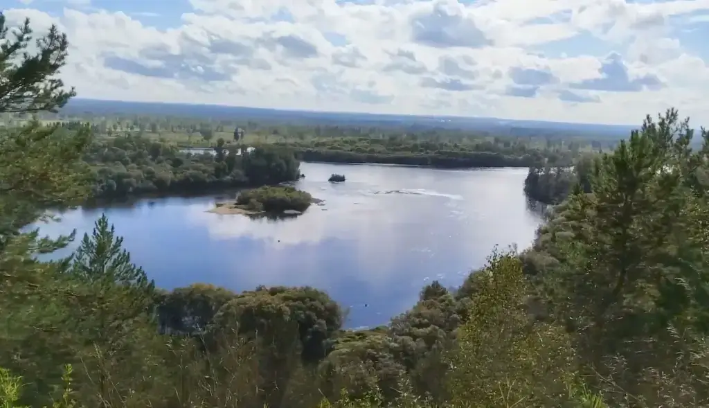 Бирюса