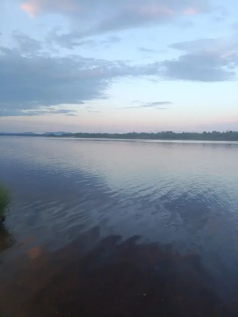 Амур (Протока)