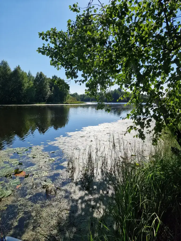 Еляты