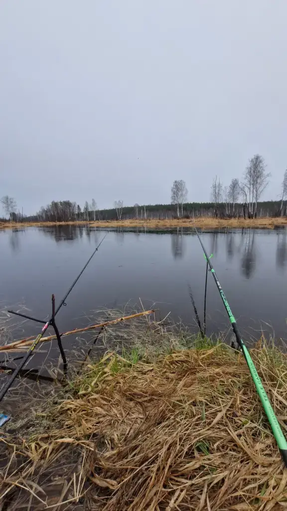 Ильинский кордон