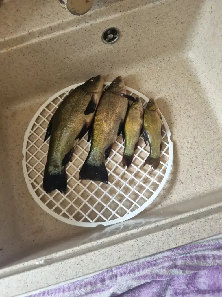 Казеевка