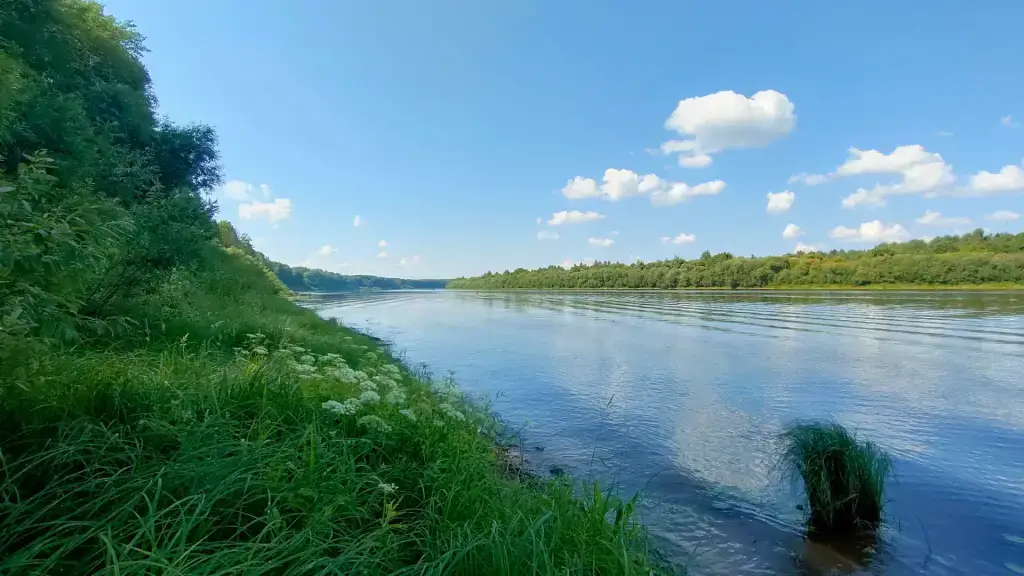 Сухона