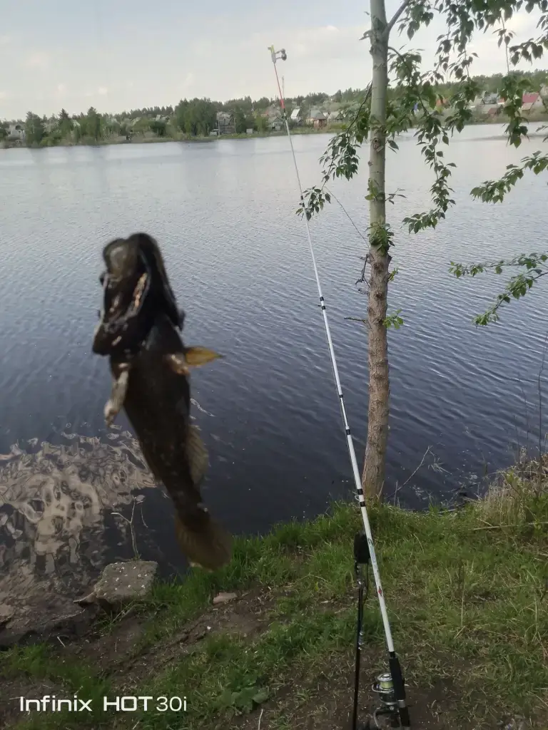 Анопинский