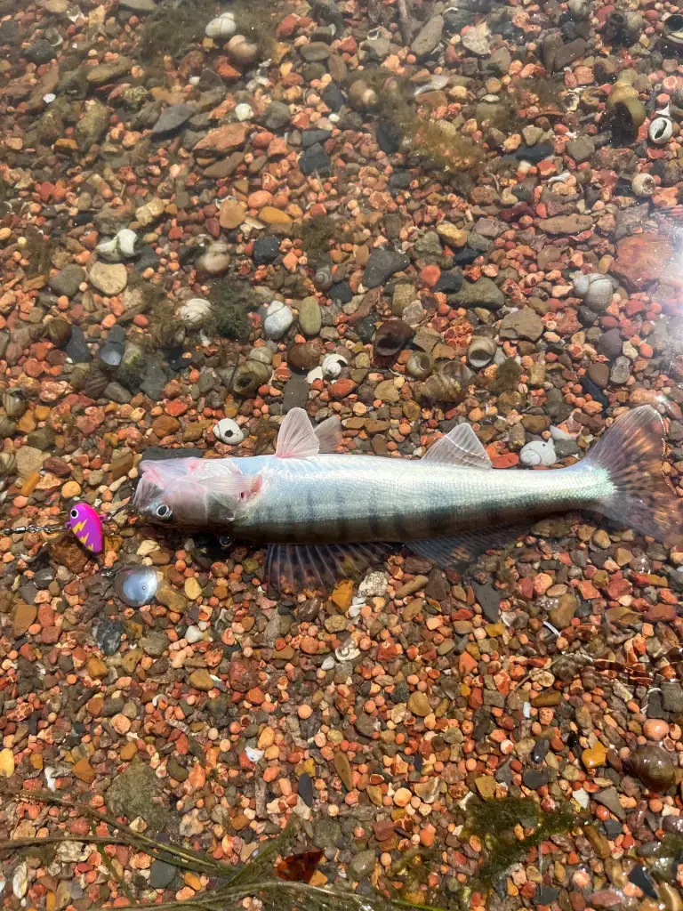 Азовская ЛЭП (Высоковольтная)