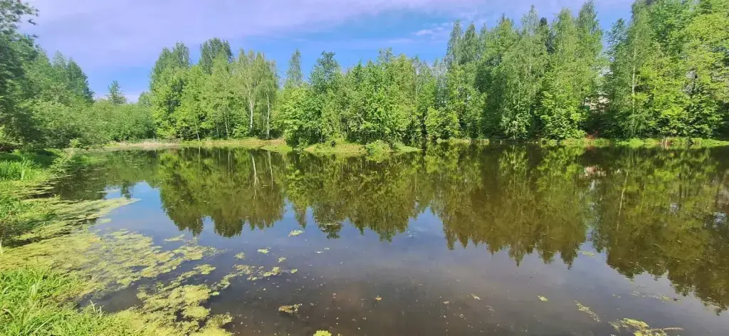 Новосоломенский