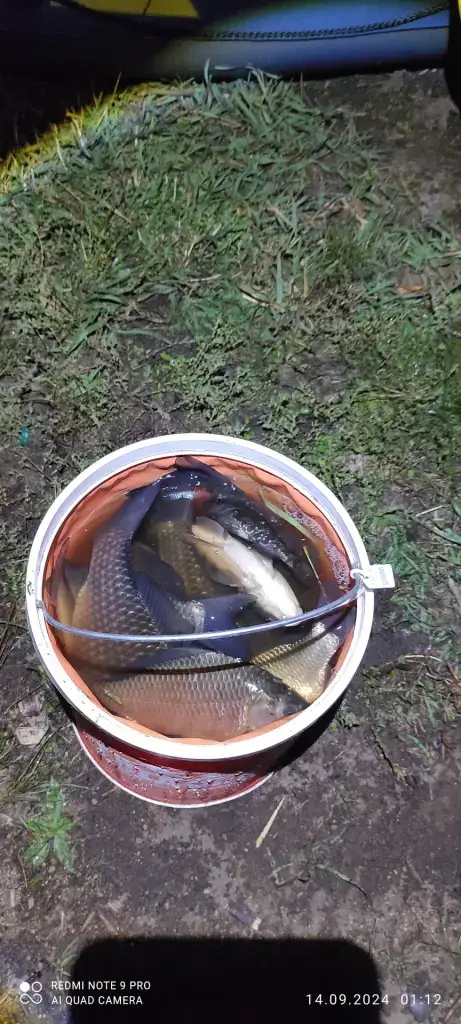 Круглое
