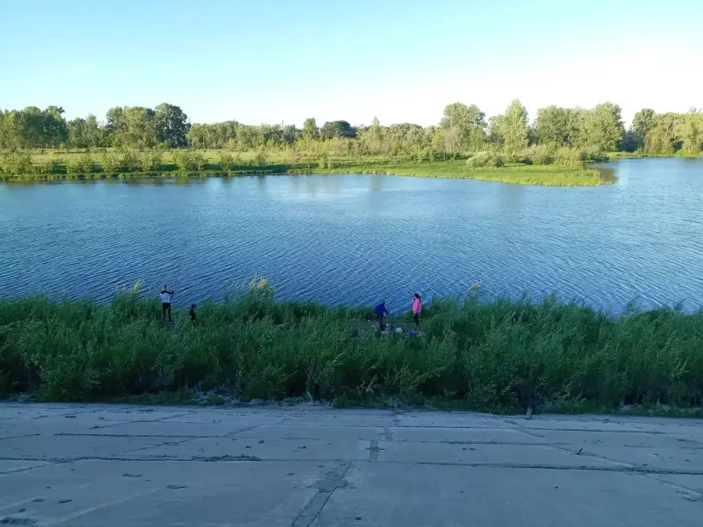 Банное