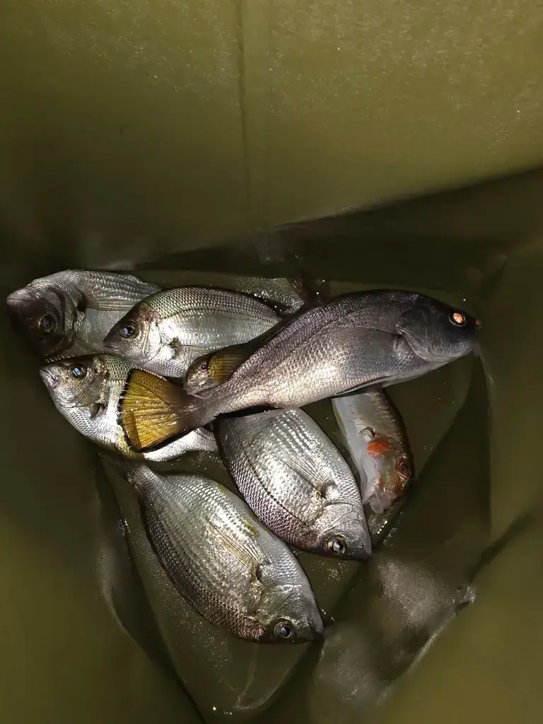 Чёрное море (Бархатные сезоны)